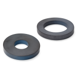 Ceramic Ring